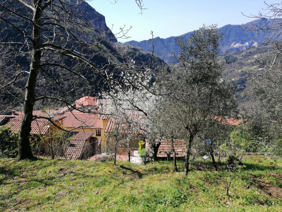 Il Metato Di Gallena Bed and Breakfast Stazzema Esterno foto