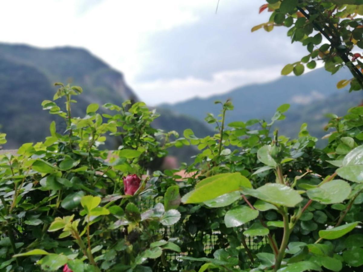 Il Metato Di Gallena Bed and Breakfast Stazzema Esterno foto