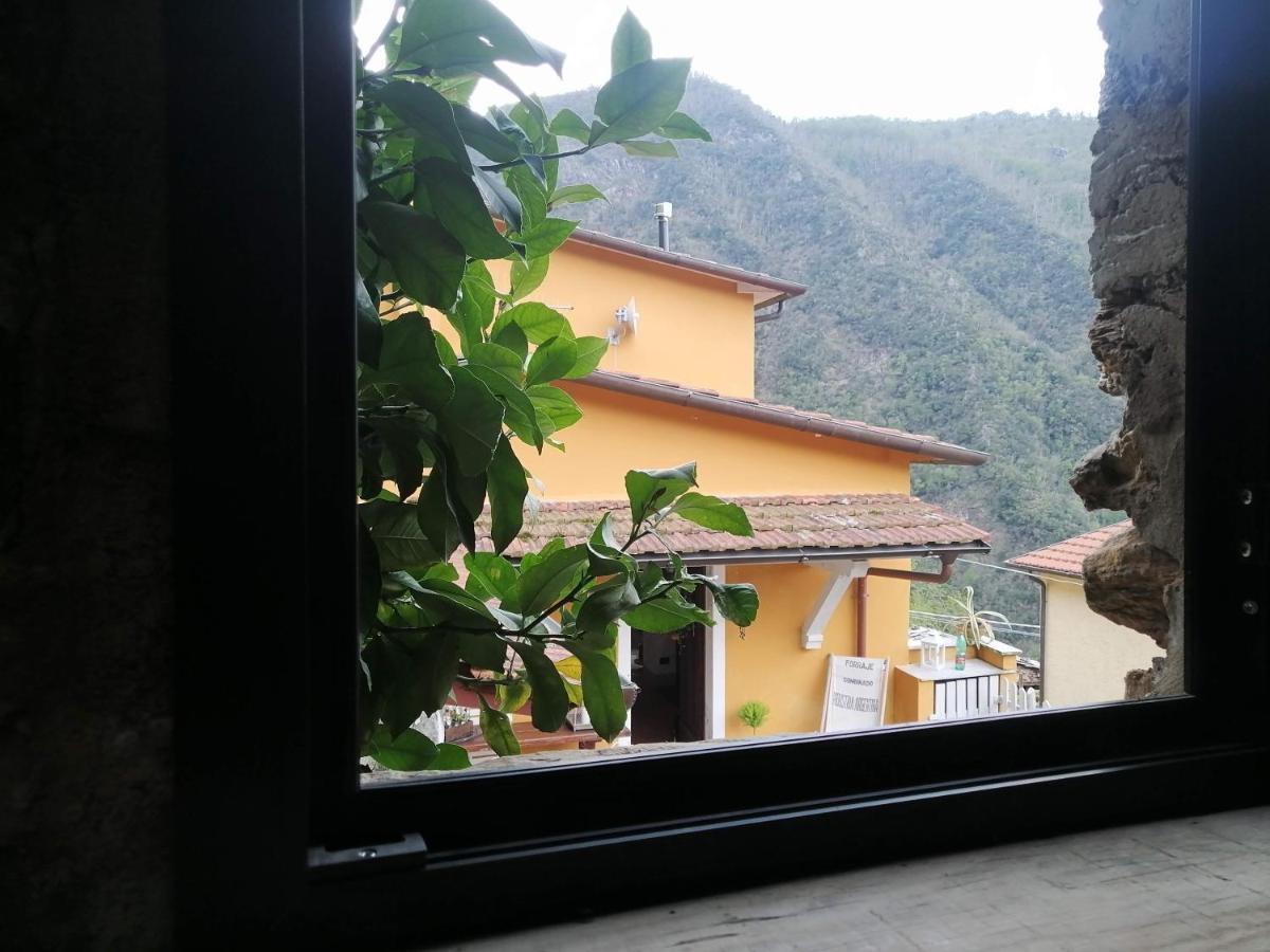 Il Metato Di Gallena Bed and Breakfast Stazzema Esterno foto